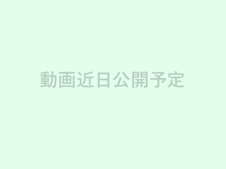 動画サンプル
